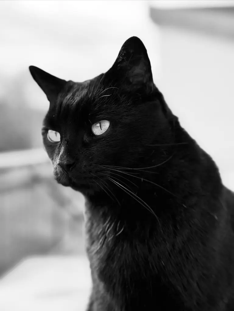 Andachtsbild von Nina