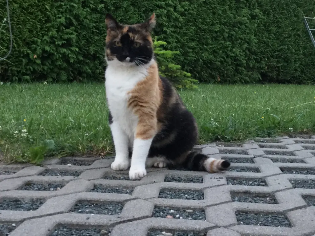 Andachtsbild von Ute Pohl