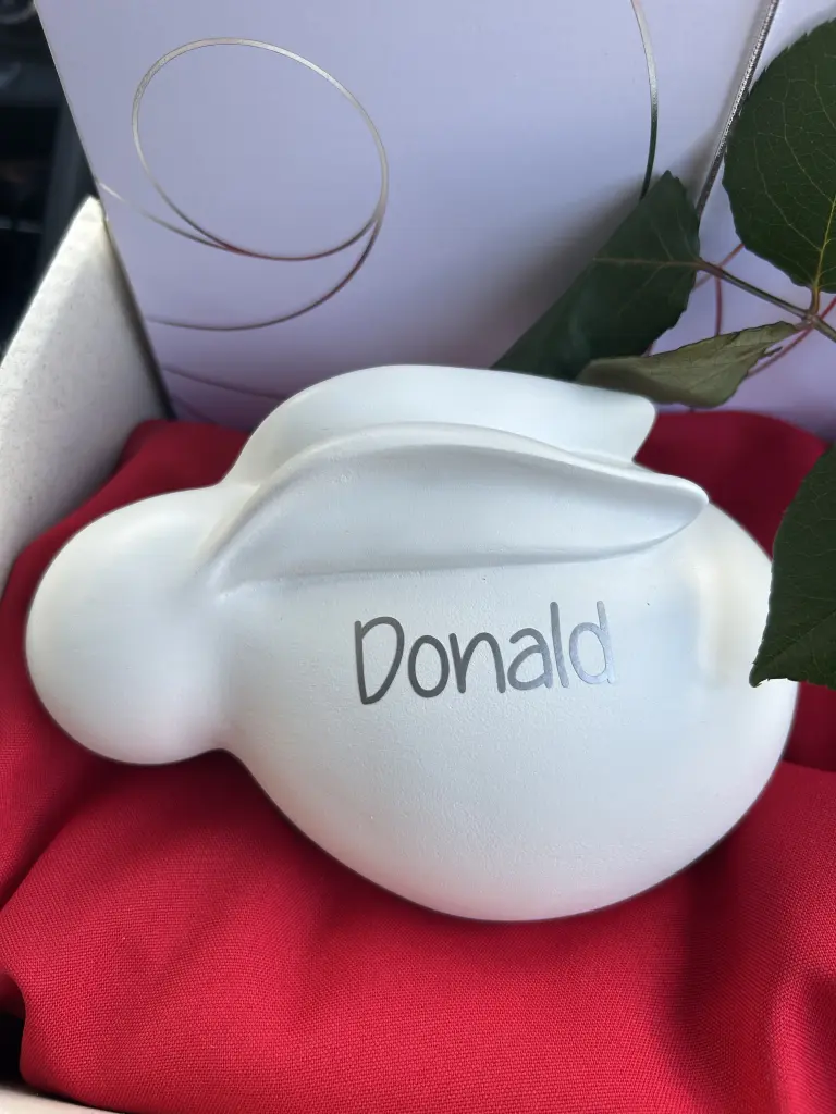 Bild von Donald