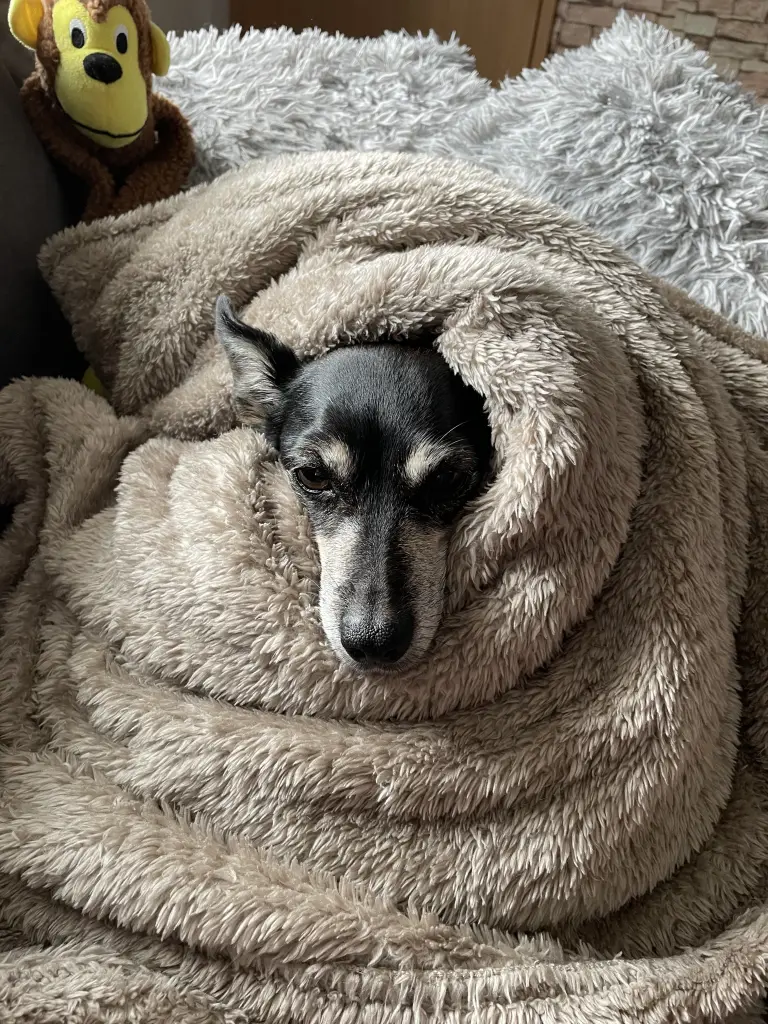 Andachtsbild von Madeleine Hauß