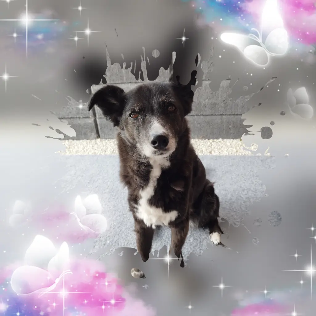 Bild von Lilly