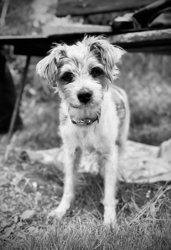 Bild von Lilly