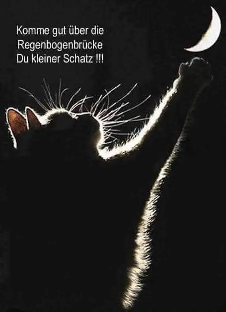 Andachtsbild von Deine Mama Anny