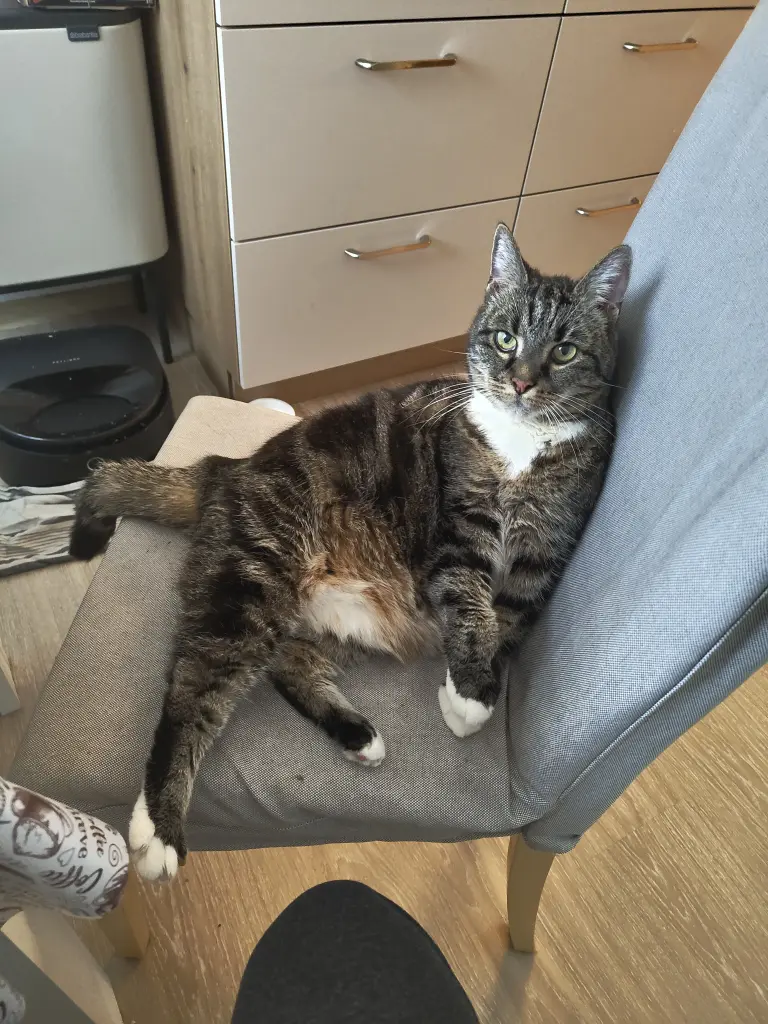 Bild von Mia