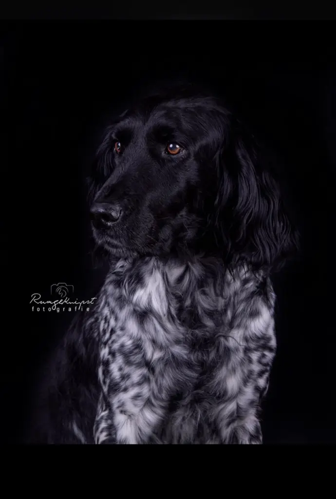 Bild von Eila