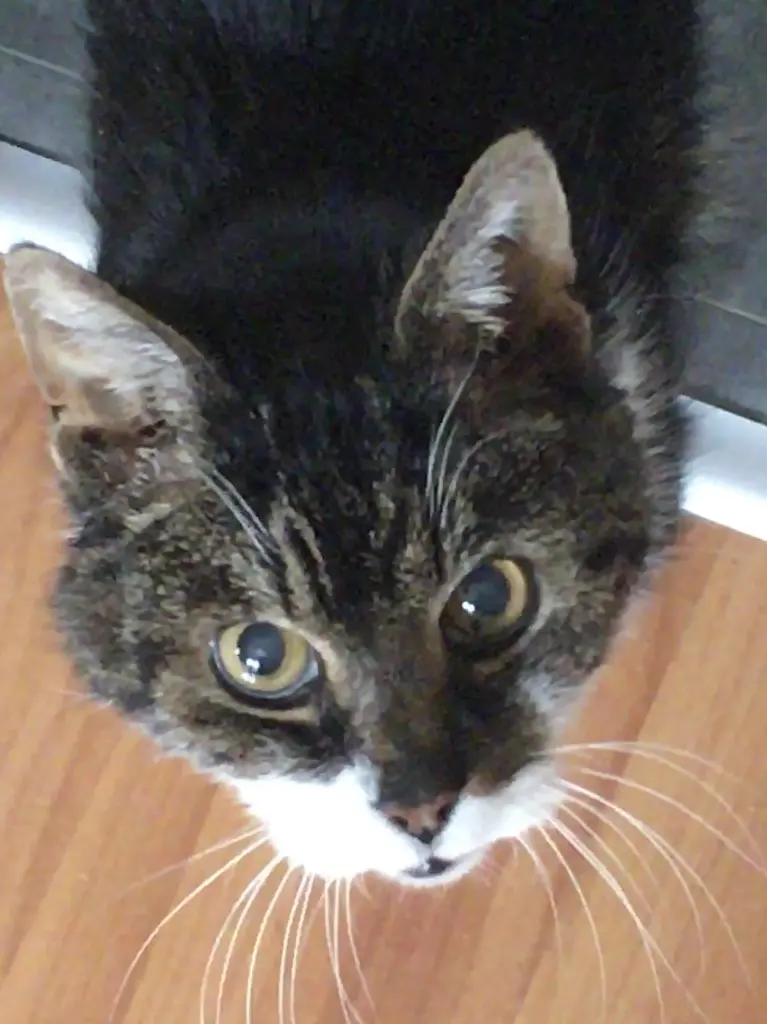 Condolence image of Marc