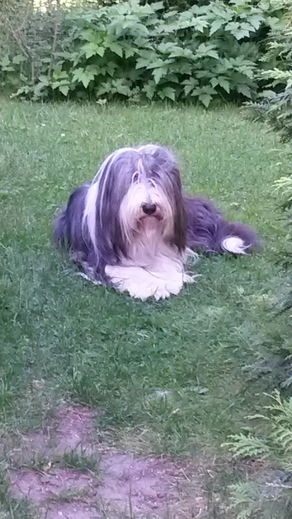 Andachtsbild von Doris