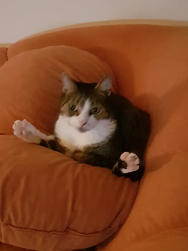 Wie bin ich hier nur rein gerutscht