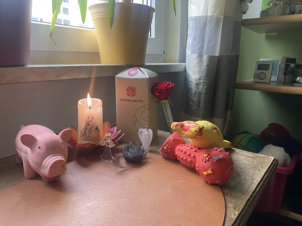 Jetzt bist du wieder bei mir