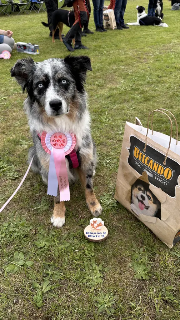 Rally Obedience hat ihr sehr viel Spaß gemacht