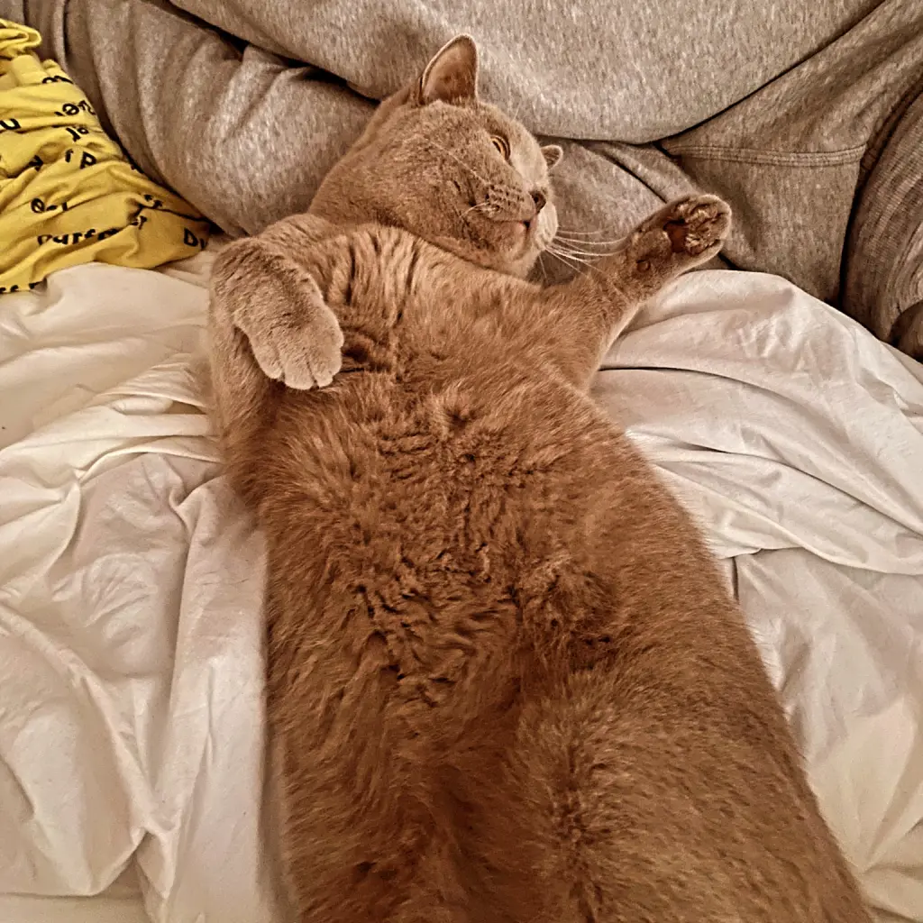 Image from Walter White