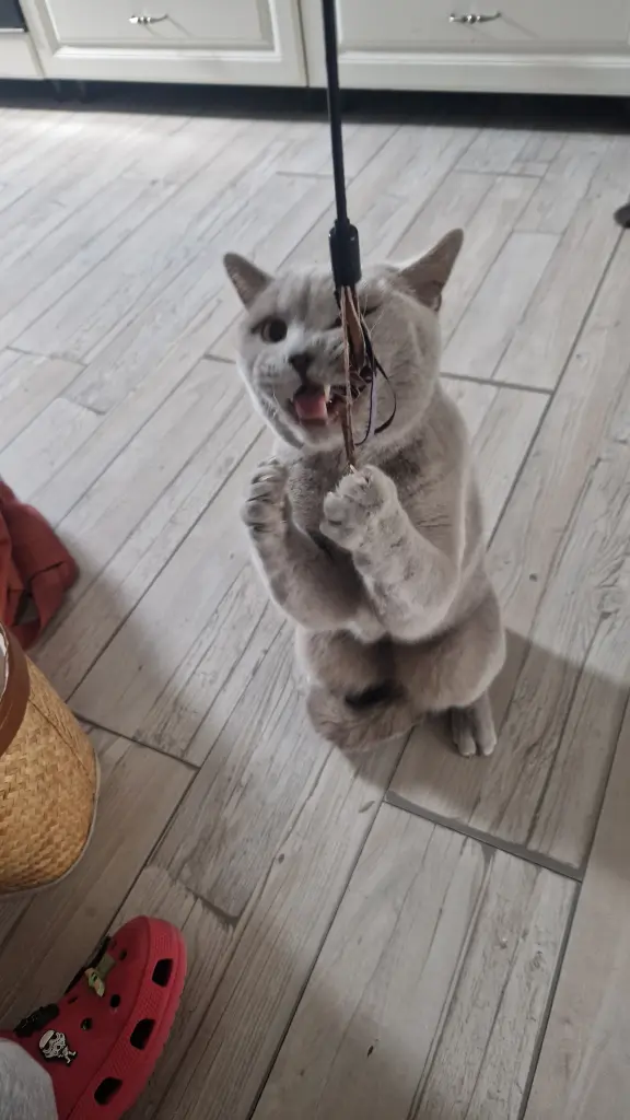 Image from Walter White