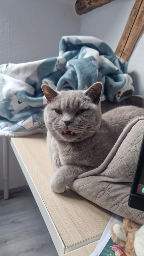 Image from Walter White