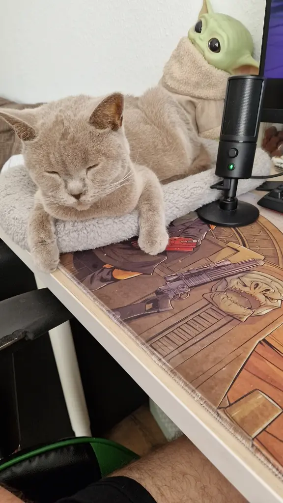 Image from Walter White