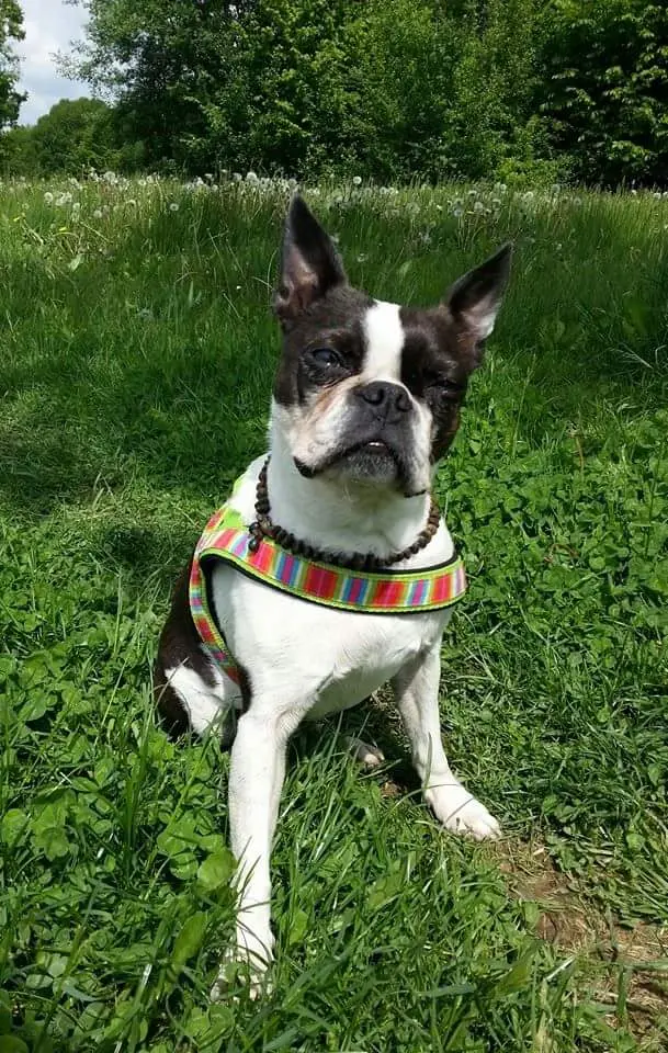 Image from Nelly