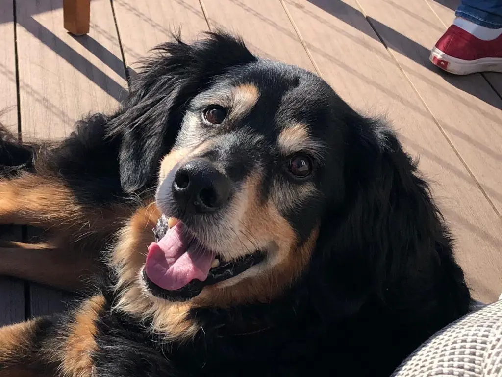 Andachtsbild von Manuela Klünenberg