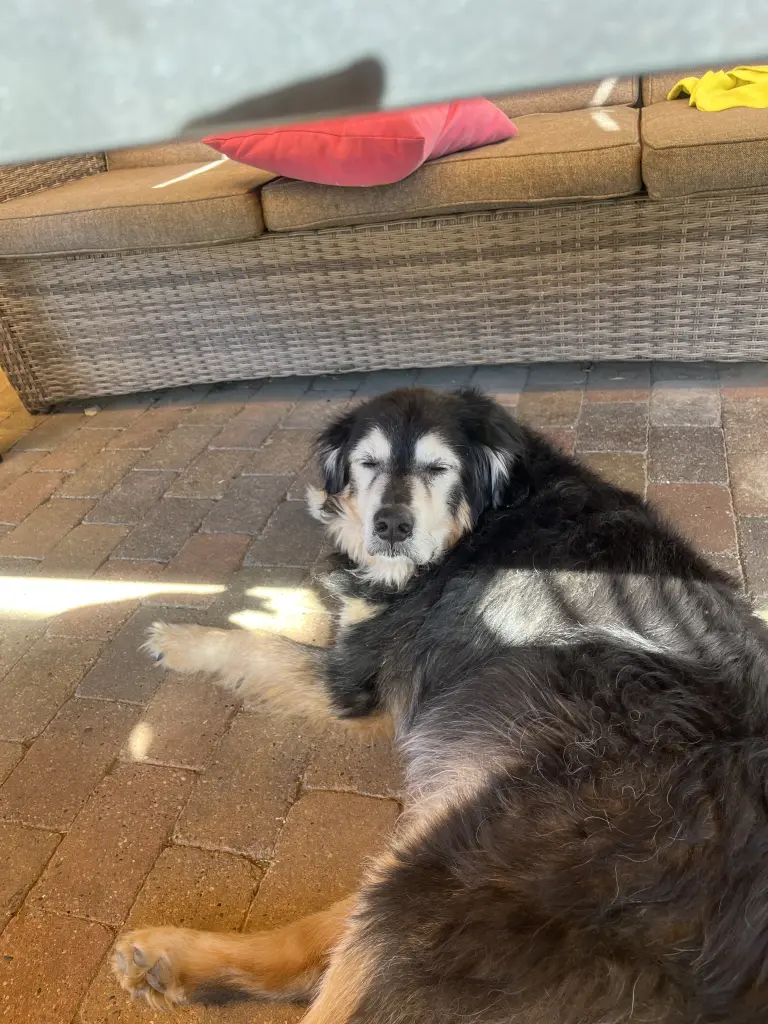 Andachtsbild von Enny Klünenberg