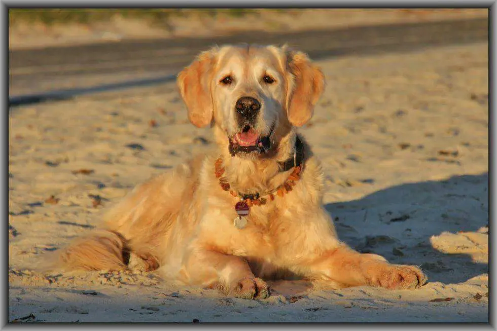 Andachtsbild von Kerstin mit Bolle