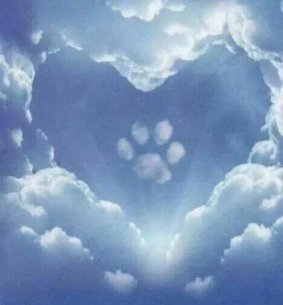 Andachtsbild von Debbie