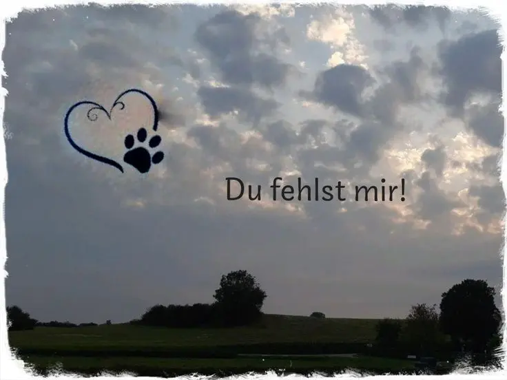 Bild von Mausi