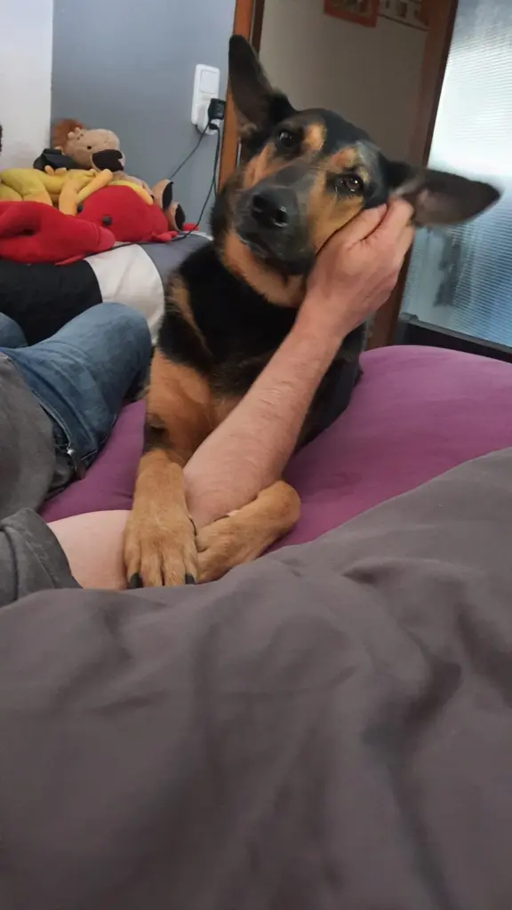 Bild von Maya
