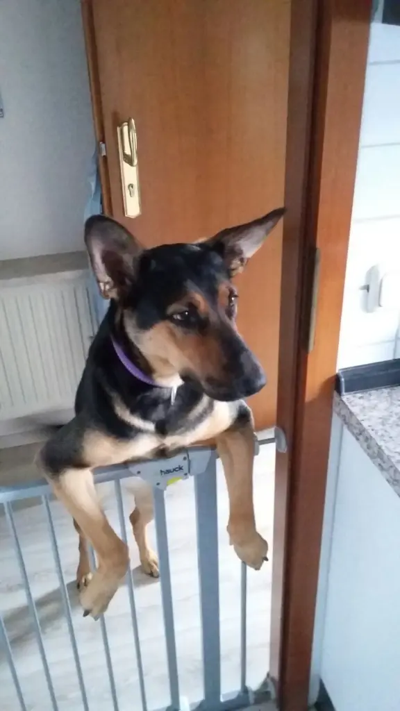 Bild von Maya