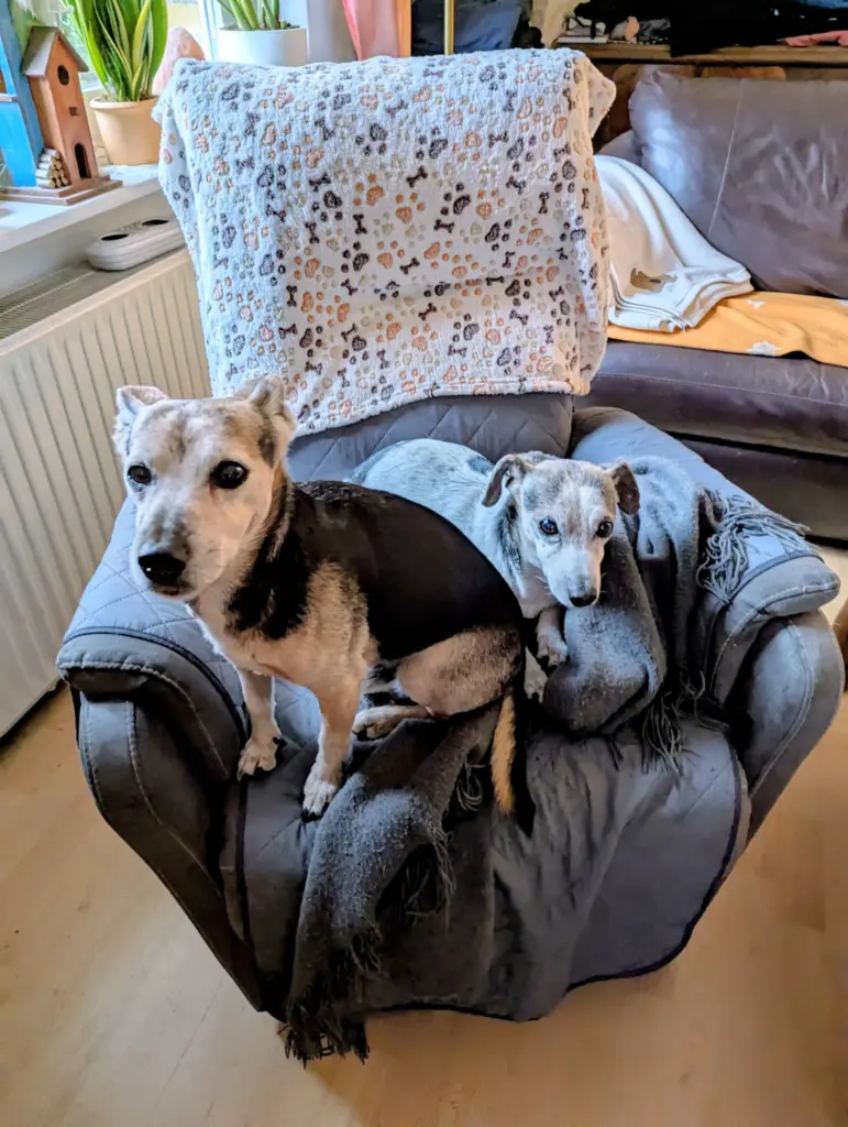 Andachtsbild von Annett Laas