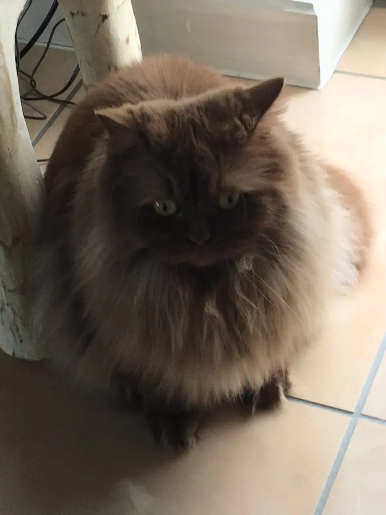 Andachtsbild von Gönül Karakas