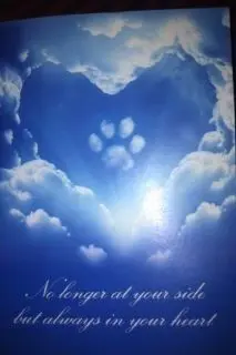 Condolence image of Melanie mit Pepe & Luni tief im Herzen