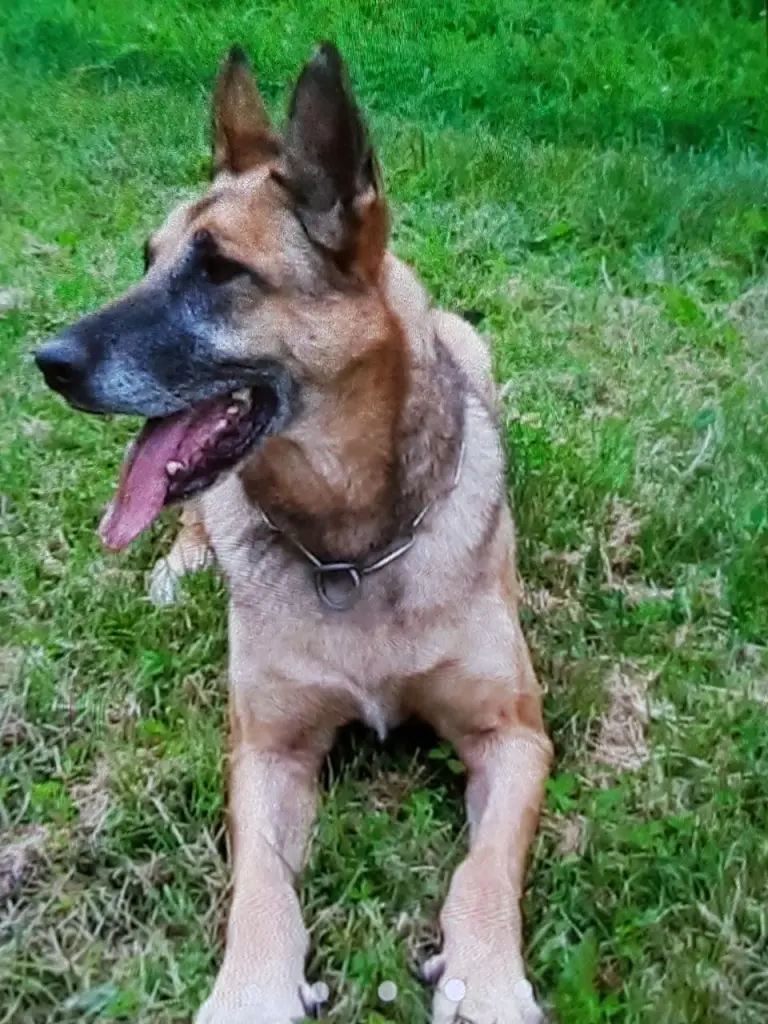 Andachtsbild von Claudia mit Tara im Herzen