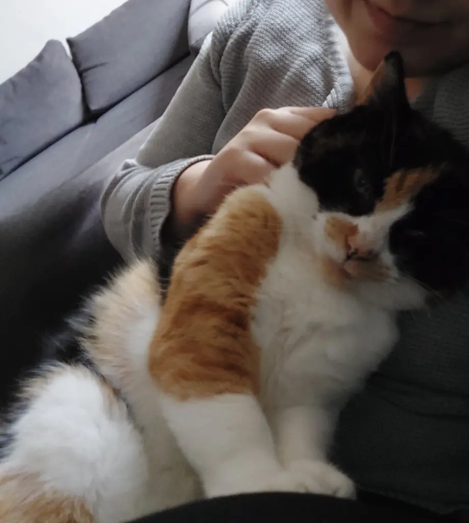Bild von Ellie
