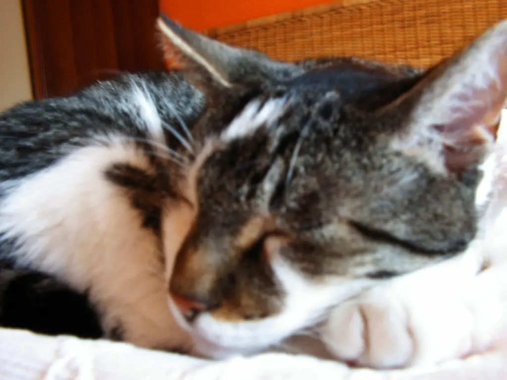 Condolence image of Ralf