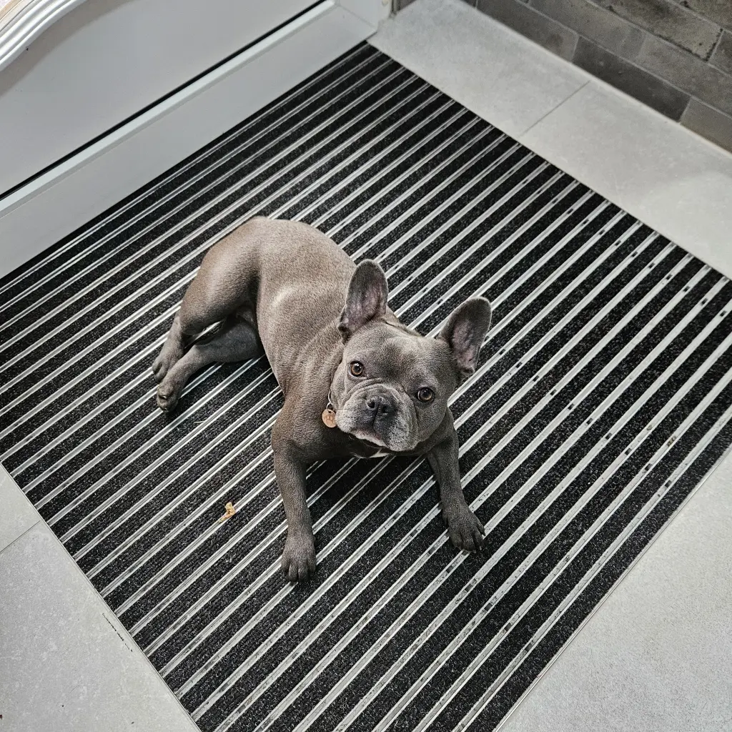 Andachtsbild von Pimpika Wiegard