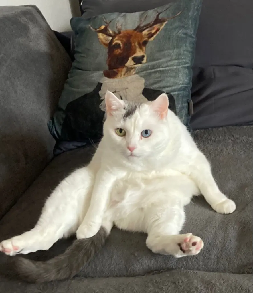 Andachtsbild von Me Hornoff