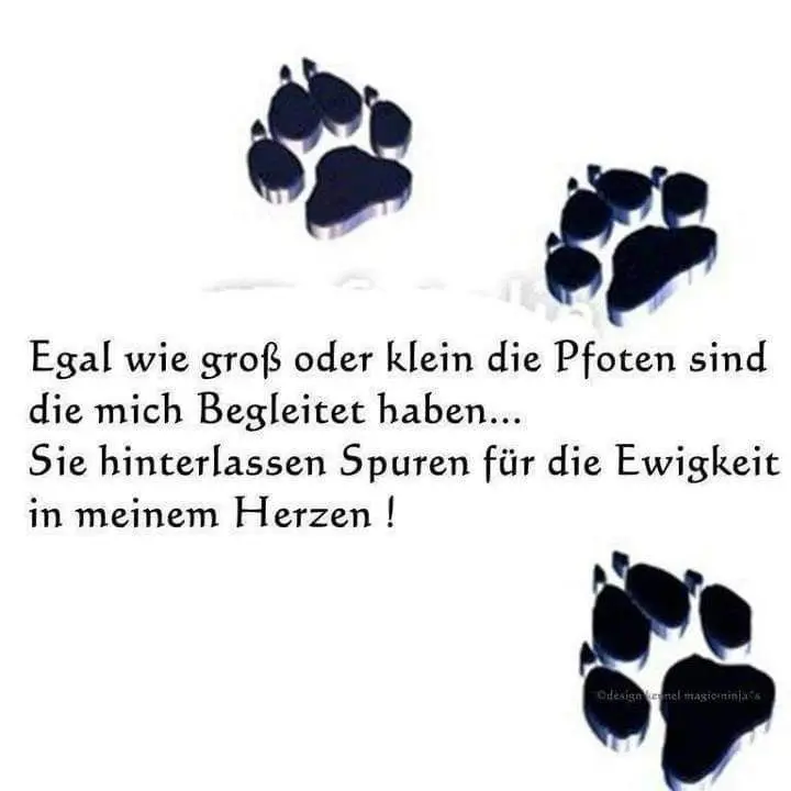 Condolence image of Irene mit Jimmy im ❤️Gute Reise zu den Sternen⭐️🌟✨️