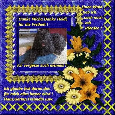 Image from mein Engelchen Sina und Best im Hunde- Glück