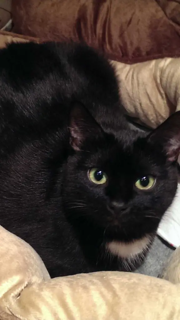 Andachtsbild von Michael Poprawa