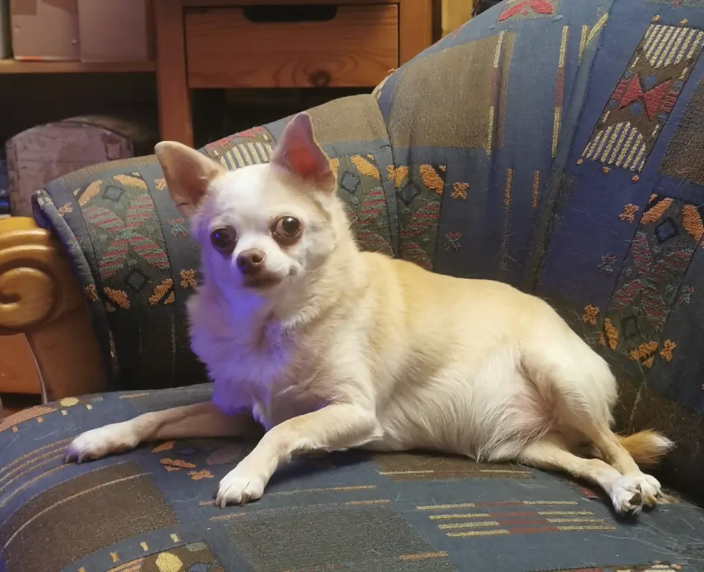 Andachtsbild von Kerstin Se.