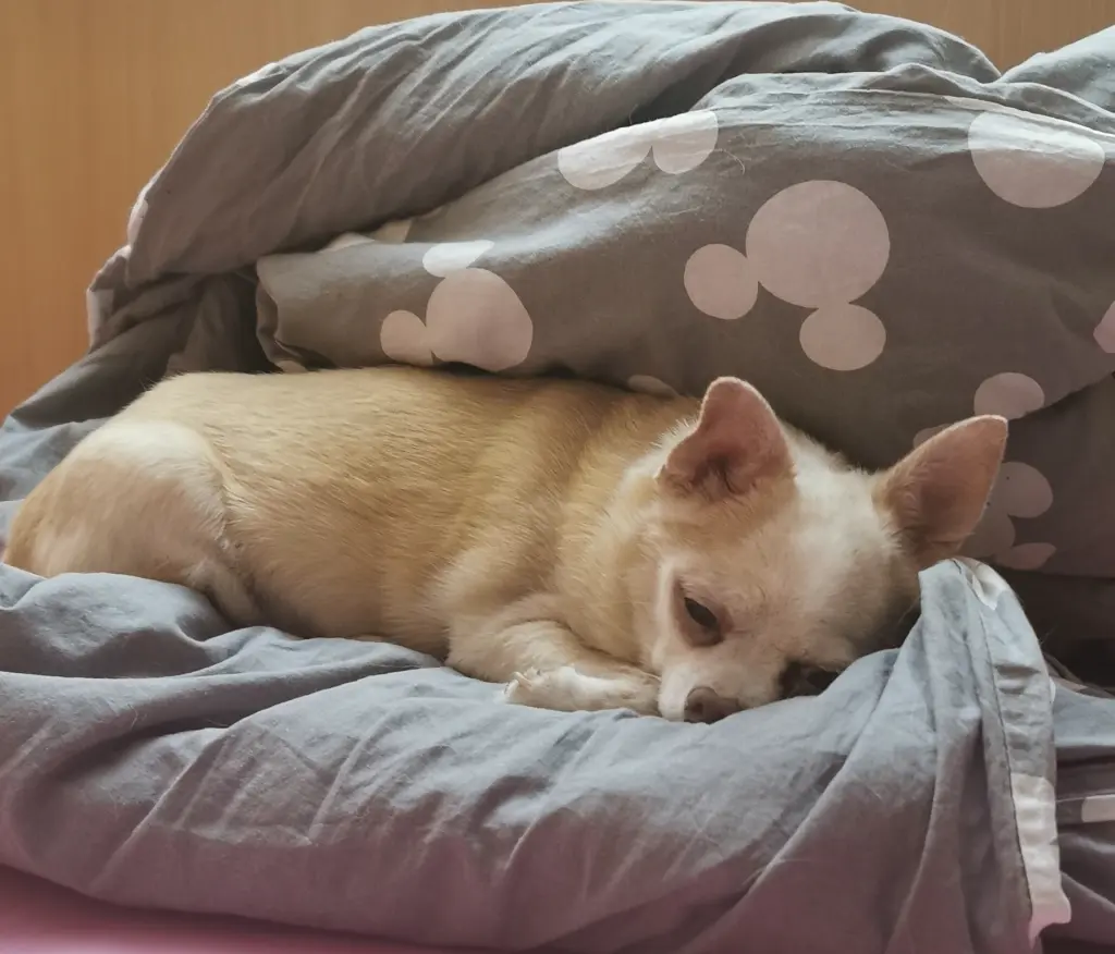 Bild von Einstein-Krümel