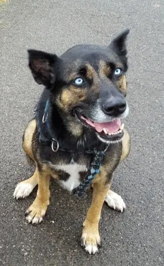 Andachtsbild von Nicole