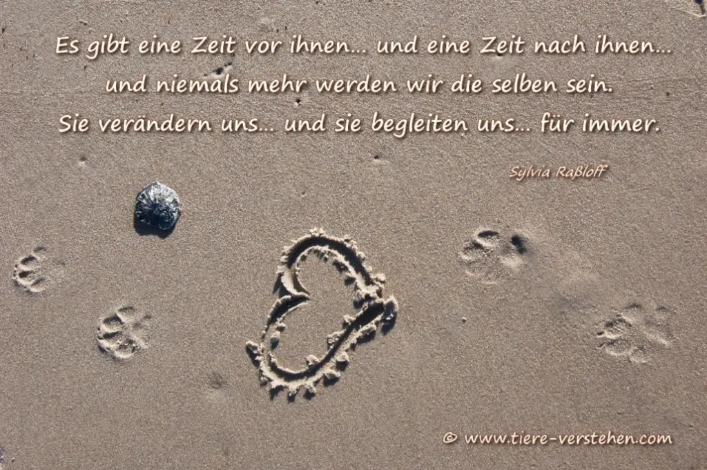 Andachtsbild von Paul mit "Spiky" im Herzen!