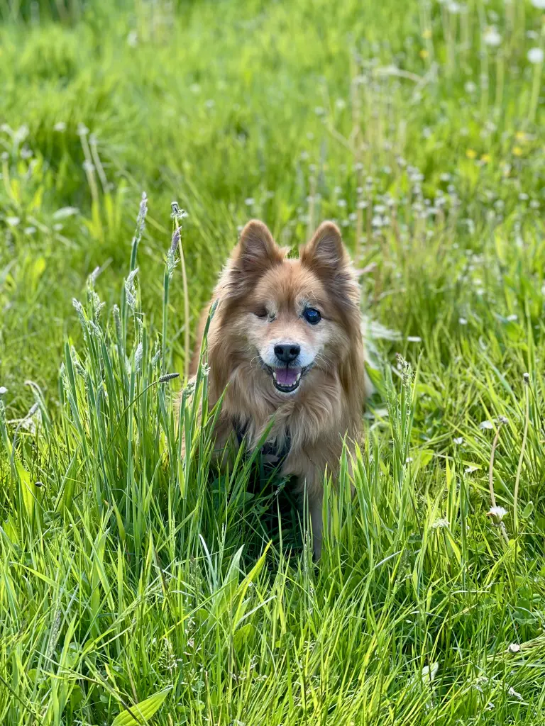 Andachtsbild von Kevin