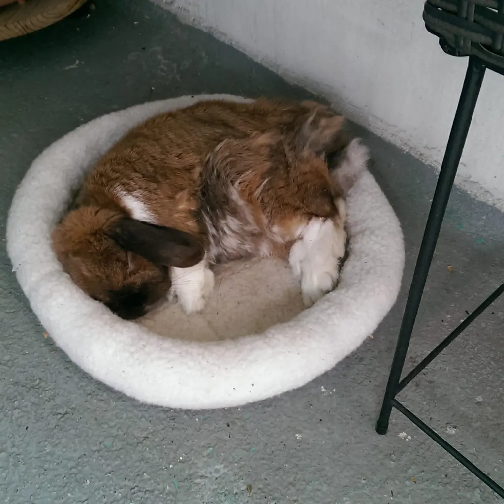 Andachtsbild von Andrea mit Schnuffi tief im ❤