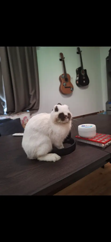 Ich liebe Dich unendlich.