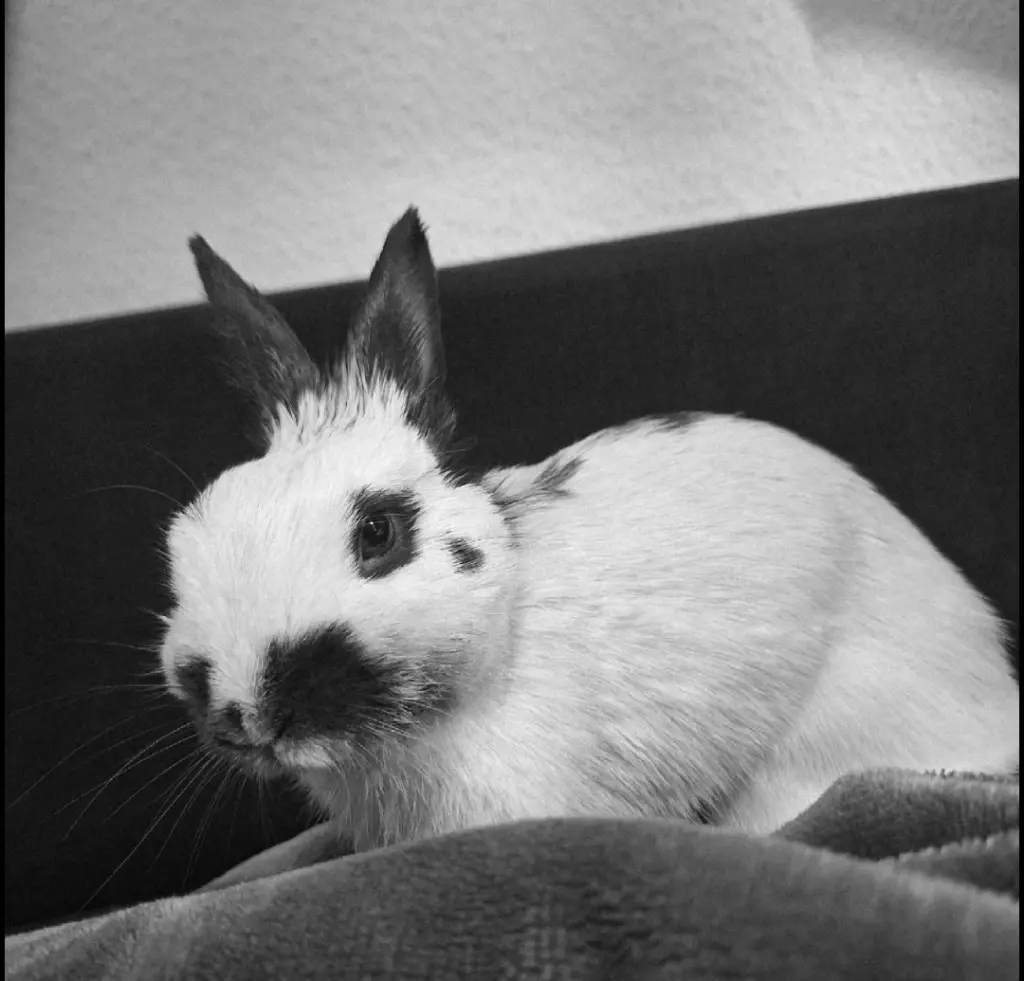 Danke für all die Liebe und Freude die Du mir jeden Tag geschenkt hast.