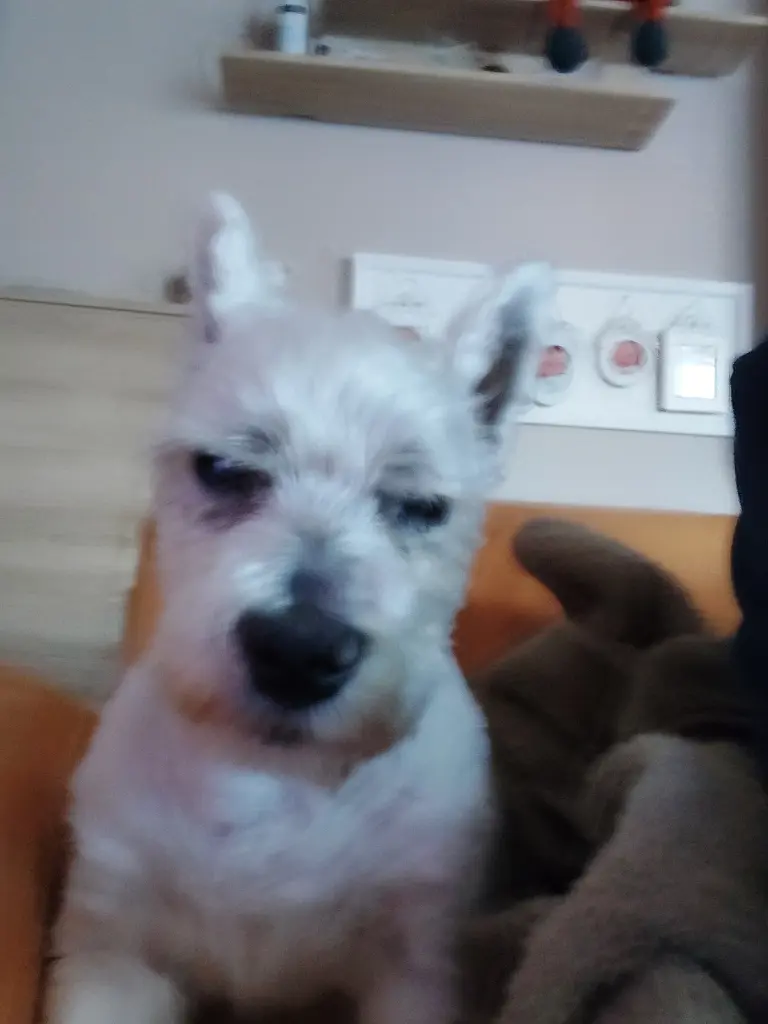 Bild von Fanny