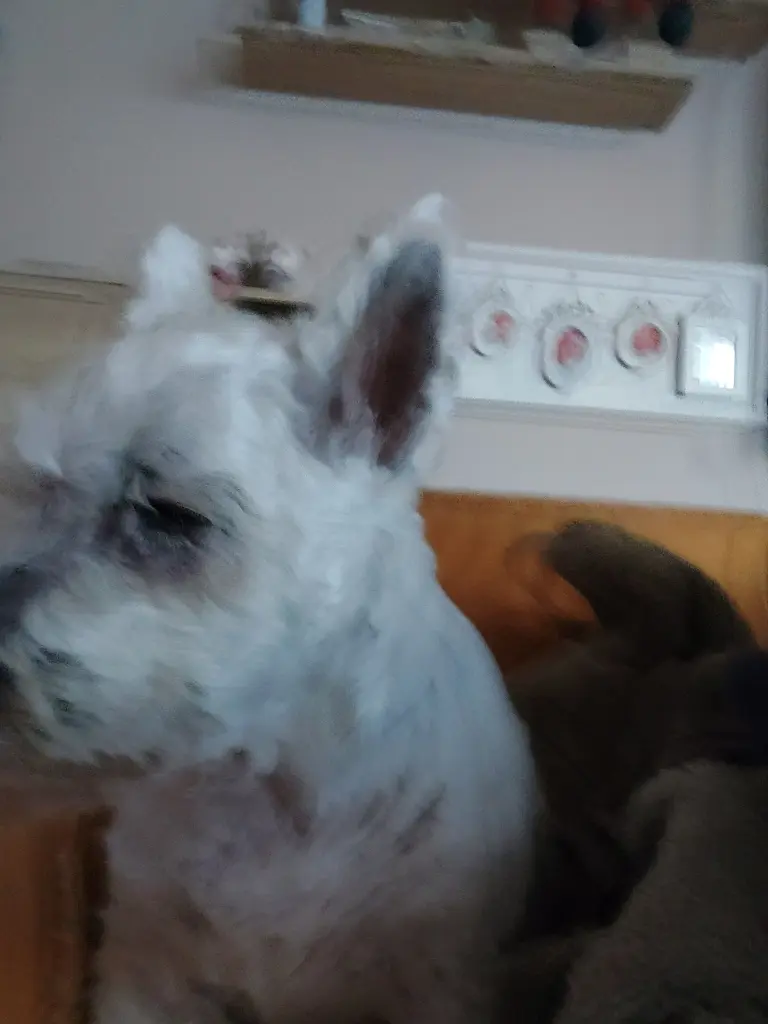 Unsere kleine Maus