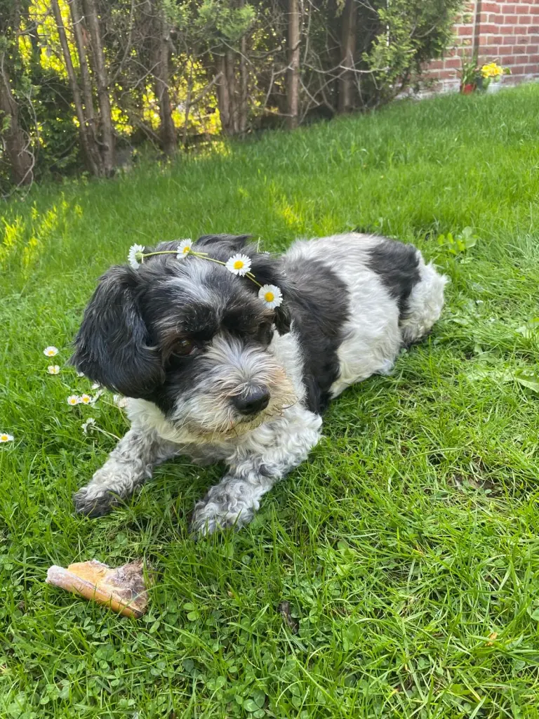 Bild von Sunny