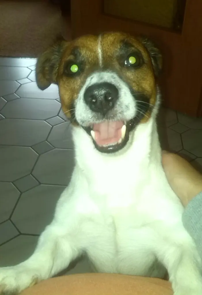 Andachtsbild von sandrine drumm-delelis