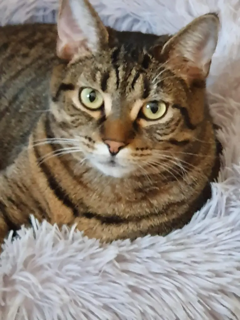 Bild von Pippa Purzel